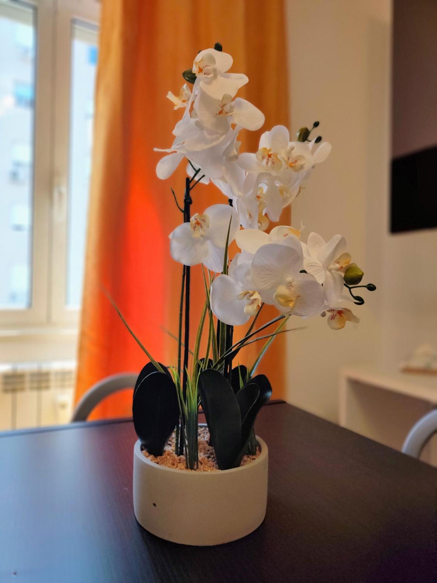 Casa Roma Marconi Lägenhet Exteriör bild